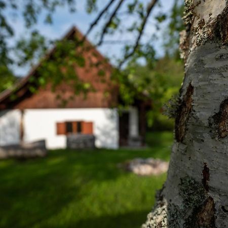 Holiday Home Srednja Vas Srednja Vas v Bohinju Eksteriør bilde
