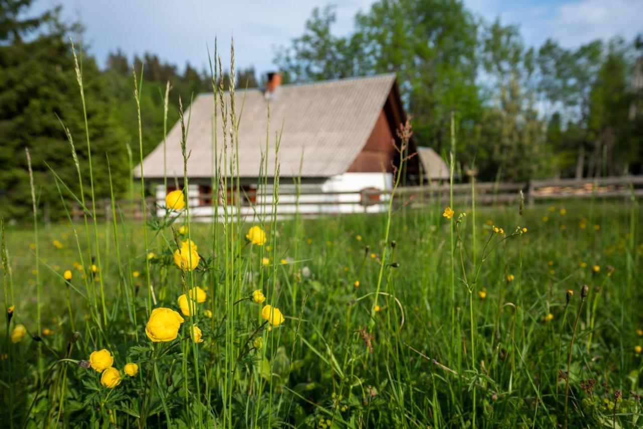 Holiday Home Srednja Vas Srednja Vas v Bohinju Eksteriør bilde